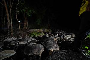 BIB: 
                            <button type="button" onclick="openModal(18617527)" class="btn btn-primary btn-sm float-right btn-popup" data-toggle="modal" data-target=".modal-high-quality">
                        <i class="fas fa-shopping-cart"></i> Add to Cart
                    </button>
                                            <button type="button" onclick="isThisMe(18617527, true)" class="btn btn-success btn-sm float-right btn-popup btn-isme hidden" data-toggle="tooltip" data-placement="bottom" title="นี่คือรูปของคุณใช่ไหม คลิกที่นี่เพื่อเอาเข้าอัลบั้ม">
                        <i class="fas fa-plus"></i> Add to album
                    </button>
                    <button type="button" onclick="isThisMe(18617527, false)" class="btn btn-warning btn-sm float-right btn-popup btn-isnotme hidden">
                        <i class="fas fa-ban"></i> Remove from album
                    </button>